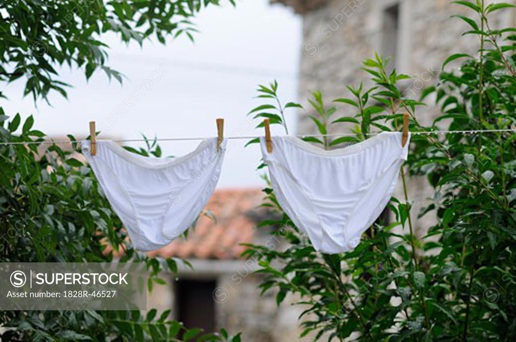 Premium Photo  New and clean cotton panties on clothesline with  clothespins with a blooming apple tree on the background. woman underwear.