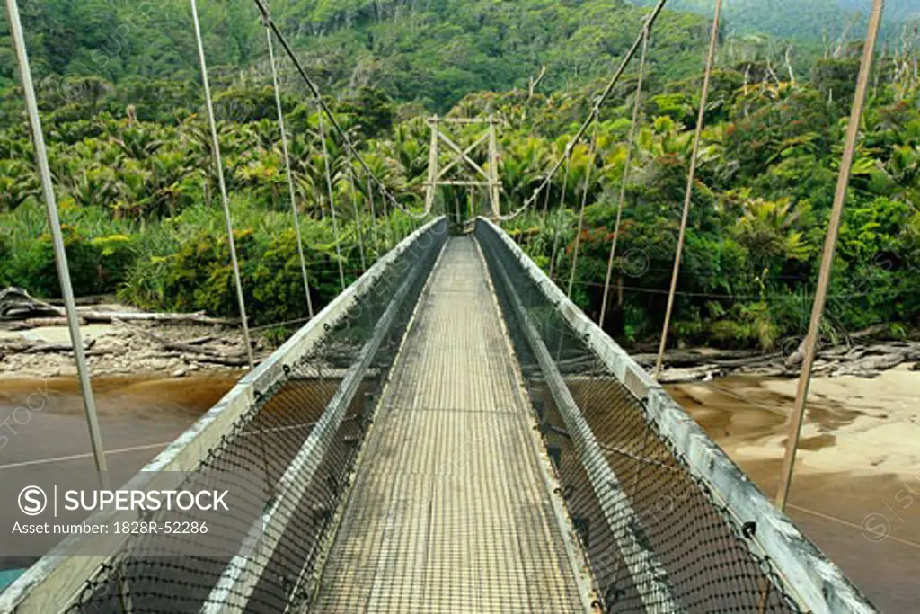 Bridge into Forest Kahurangi National Park, South Island, New Zealand   