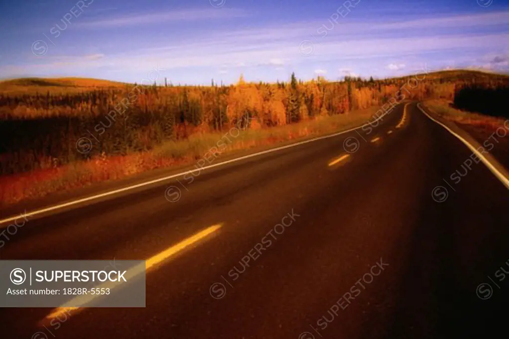 Road and Trees in Autumn, Yukon Territory, Canada   