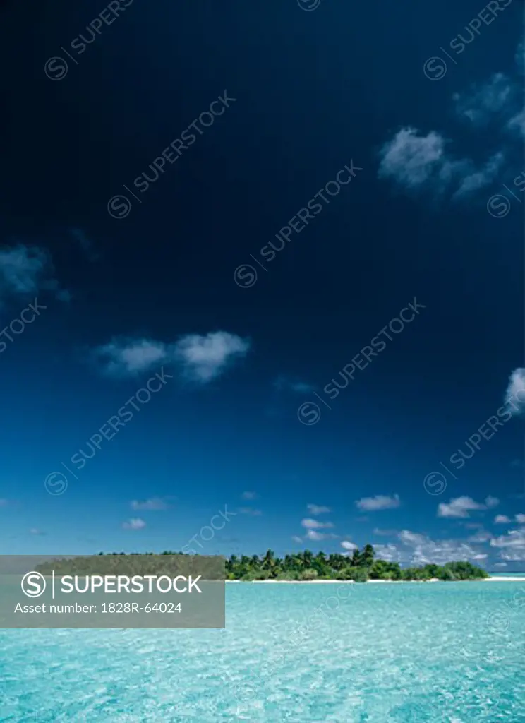 Tropical Seascape, Island with Coconut Palm Trees