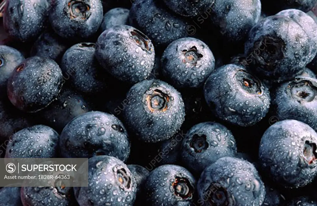 Close-up of Blueberries