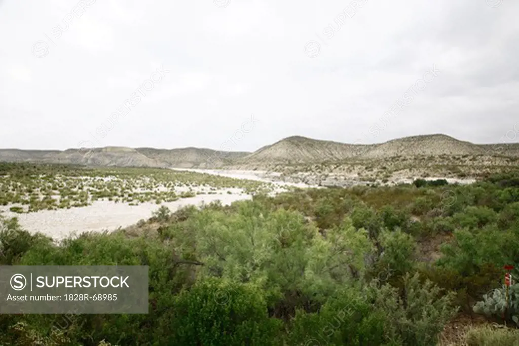 Landscape, Dryden, Texas, USA