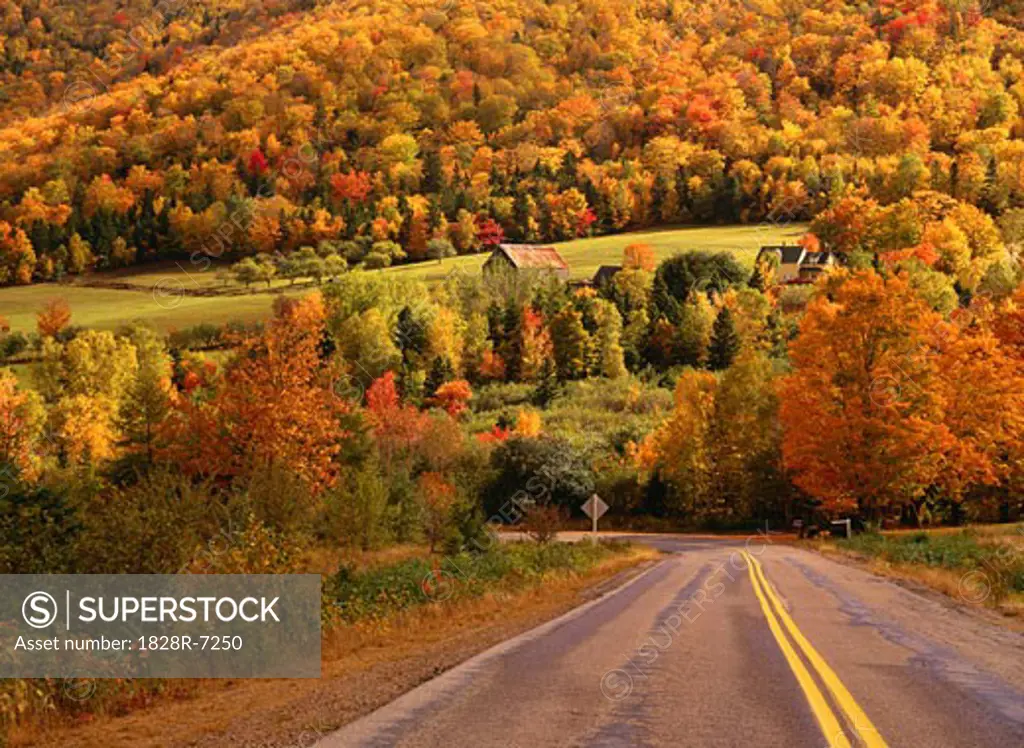 Autumn, Margaree Valley, Nova Scotia, Canada   