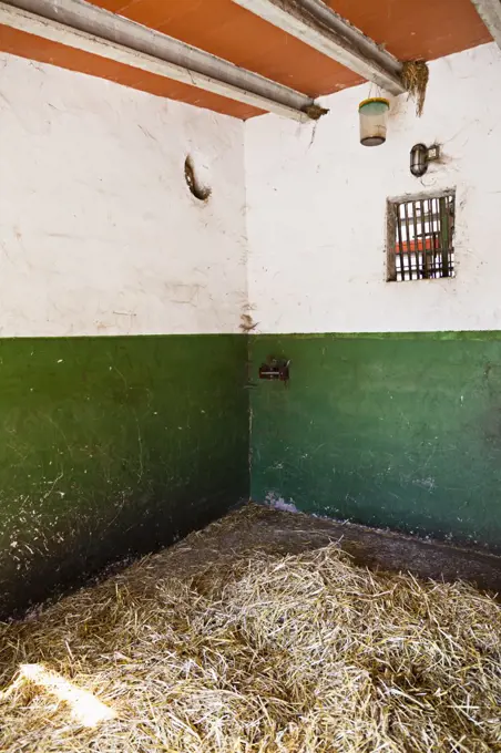 Horse Stall in Stable