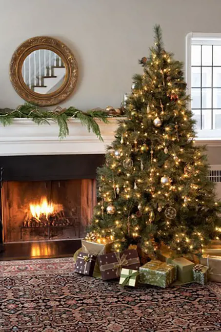 Living Room Decorated for Christmas  