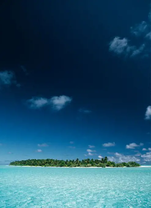 Tropical Seascape, Island with Coconut Palm Trees