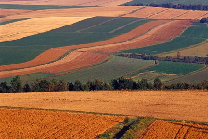 Fields, New Brunswick, Canada