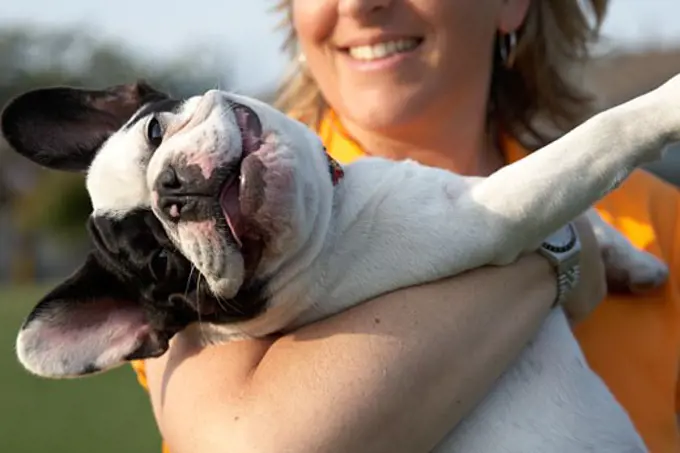 Woman Holding French Bulldog