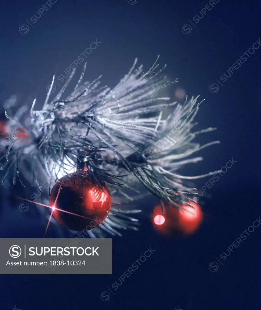 Red Ornaments Hanging on Christmas Tree