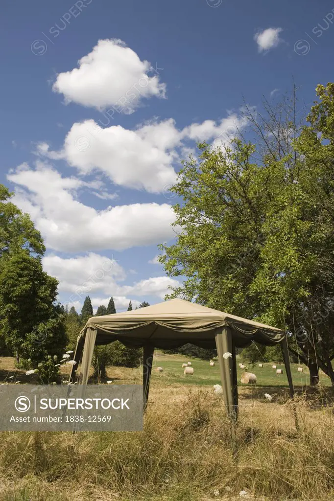 Tent in Field