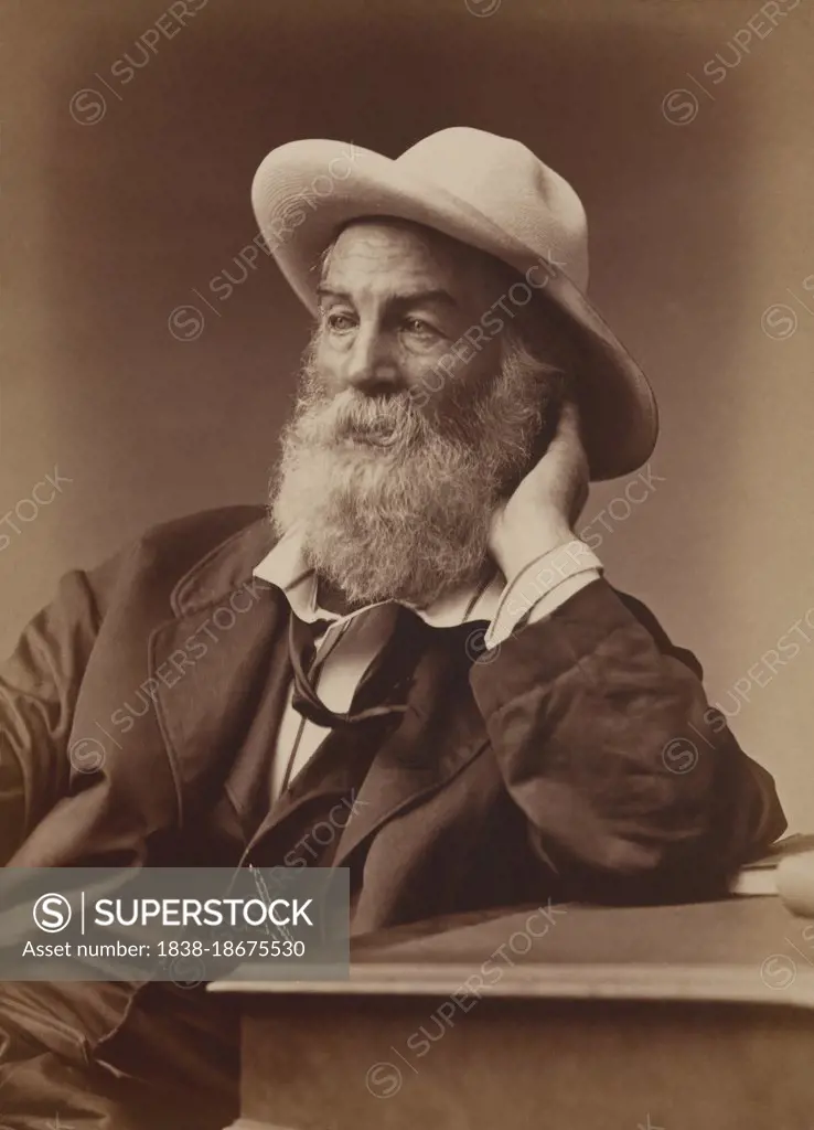 Walt Whitman (1819-1892), American Poet, half-length seated Portrait, G. Frank E. Pearsall, 1872