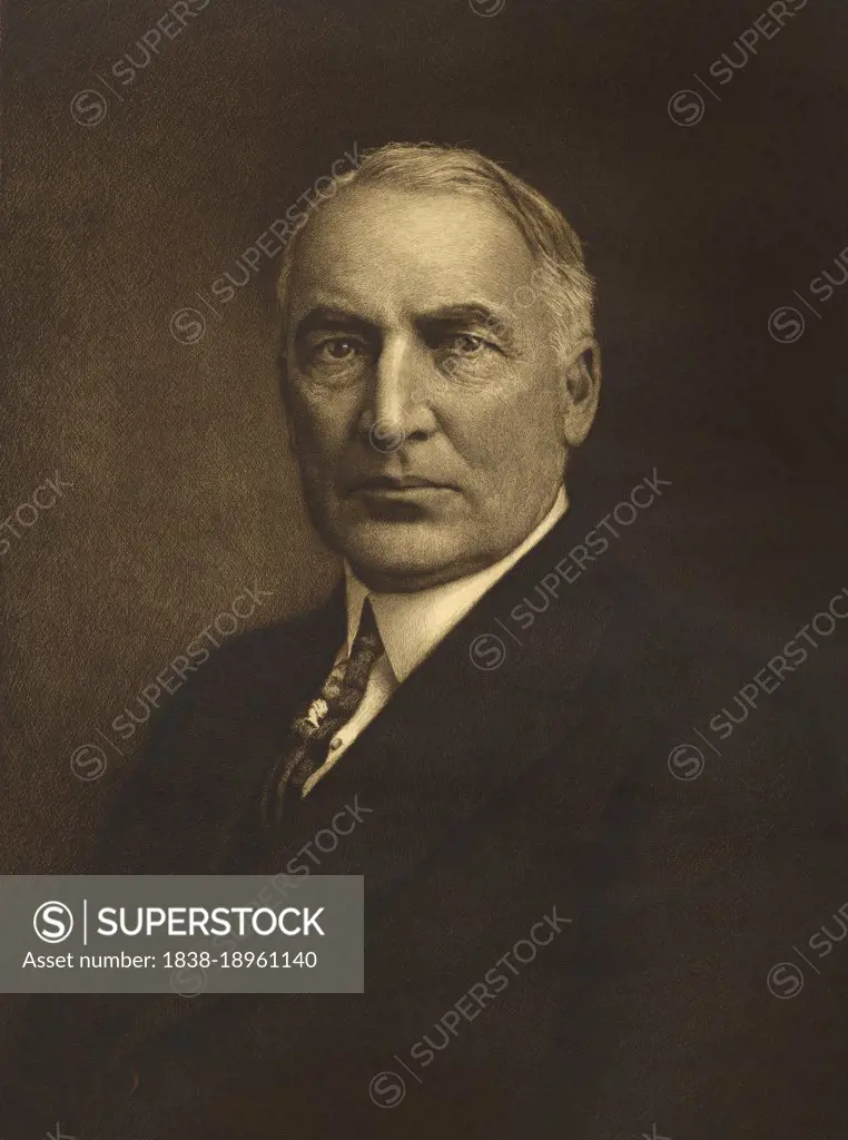 Warren G. Harding (1865-1923) American Politician, 29th President of the United States 1921-23, head and shoulders Portrait, etching, Jacques Reich, 1922