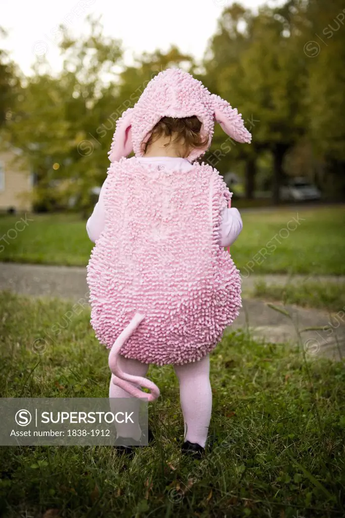 Little Girl in Pink Pig Costume 