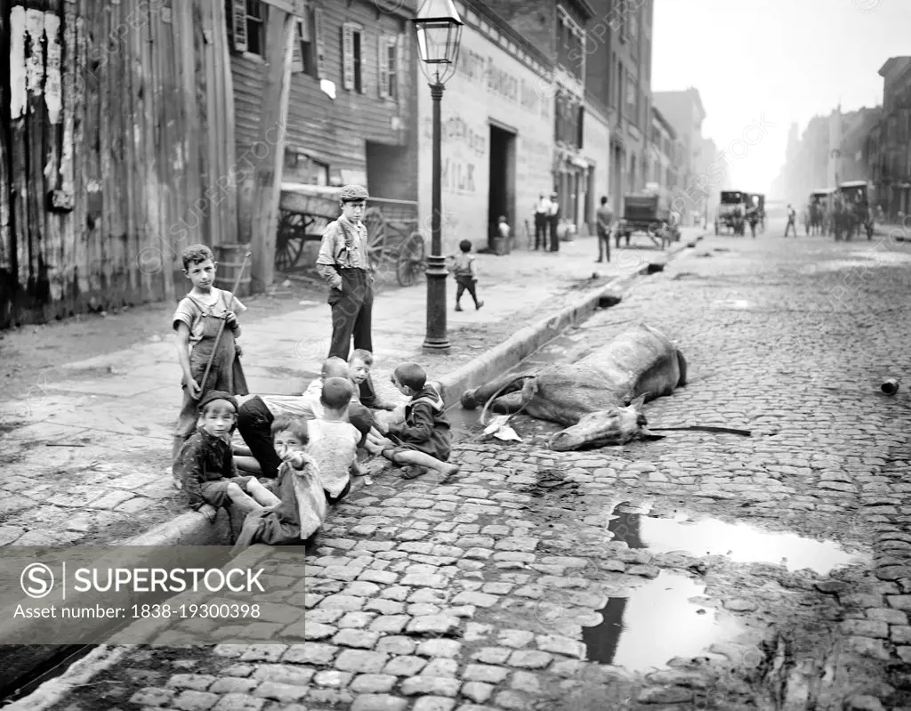 Street Scene, Group of Children near dead horse on