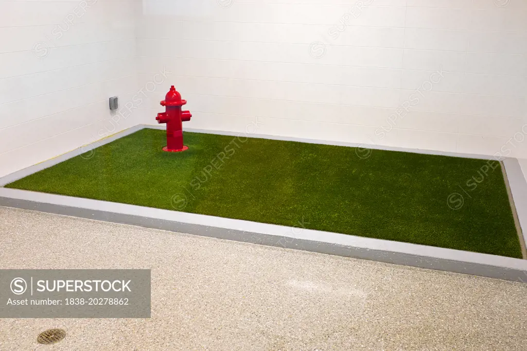 Designated Public Pet Relief Area with Artificial Grass and Fire Hydrant, Logan International Airport, Boston, Massachusetts, USA