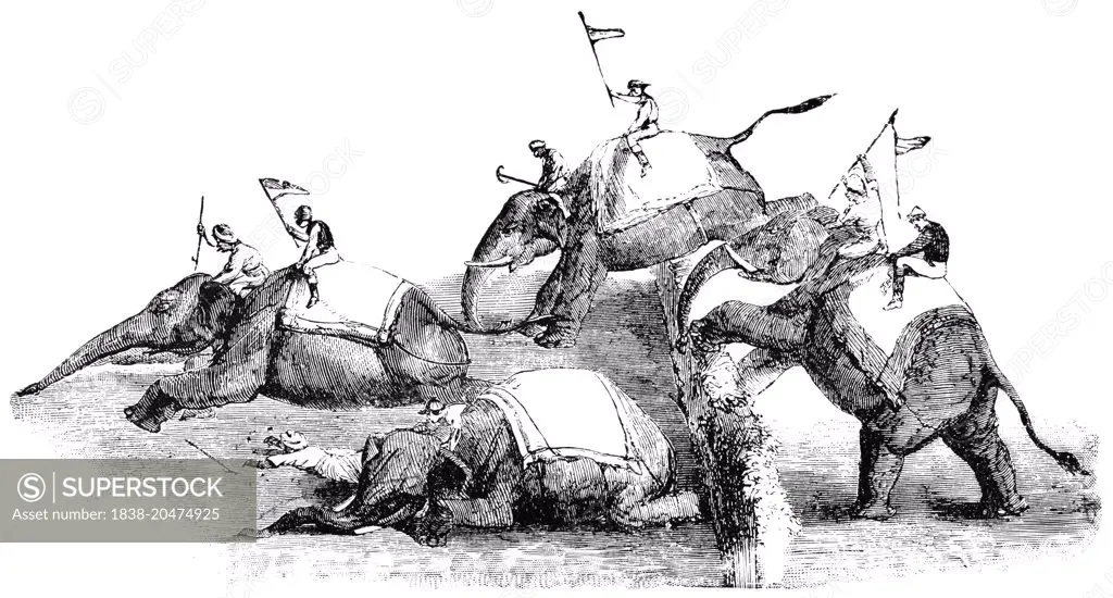 Comical Elephant Steeple Chase, Rangoon, Burma, "Classical Portfolio of Primitive Carriers", by Marshall M. Kirman, World Railway Publ. Co., Illustration, 1895