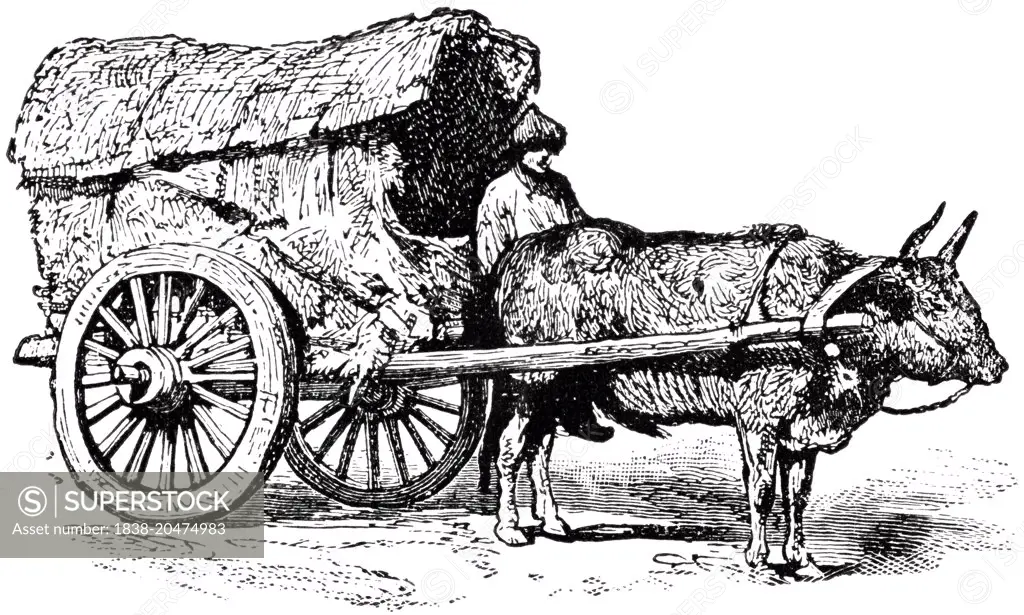 Mongolian Wagon, China, "Classical Portfolio of Primitive Carriers", by Marshall M. Kirman, World Railway Publ. Co., Illustration, 1895