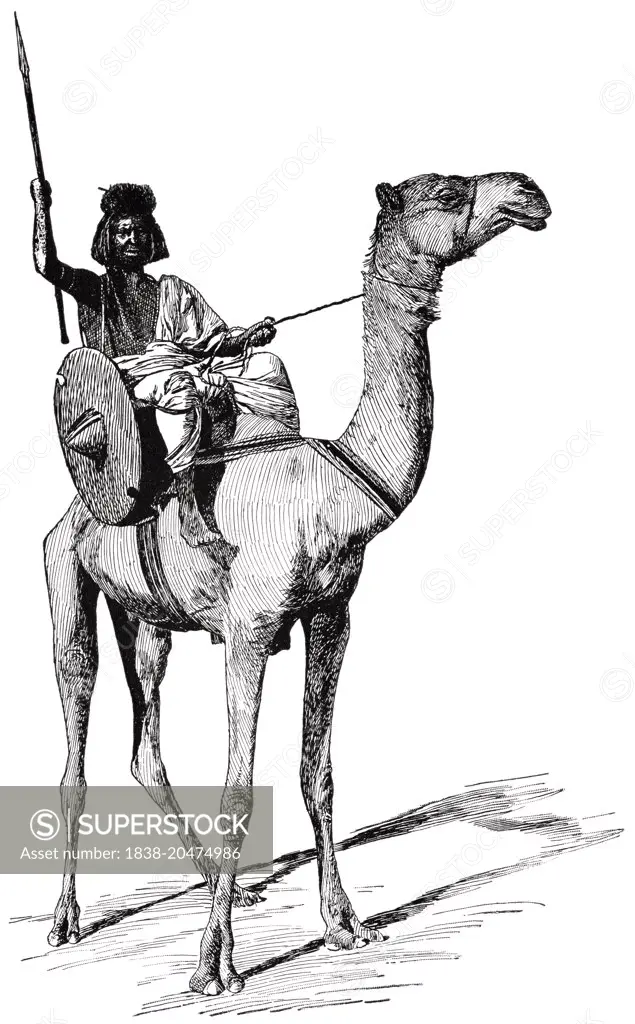 Sudanese Warrior on Camel, Sudan, "Classical Portfolio of Primitive Carriers", by Marshall M. Kirman, World Railway Publ. Co., Illustration, 1895