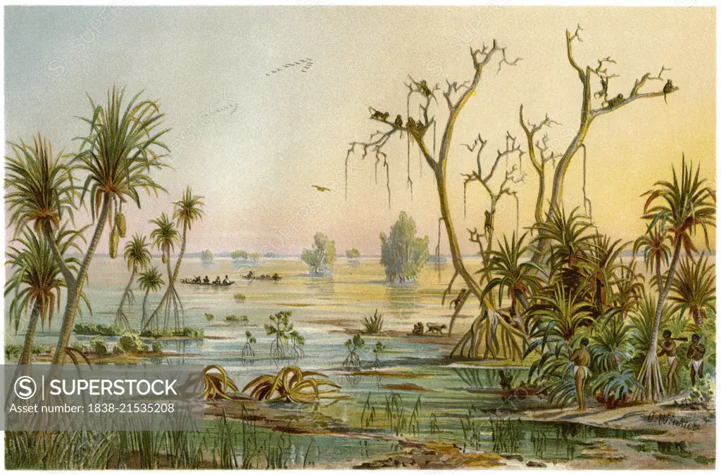 Lagoon, North Loango, West Africa, Illustration, 1885