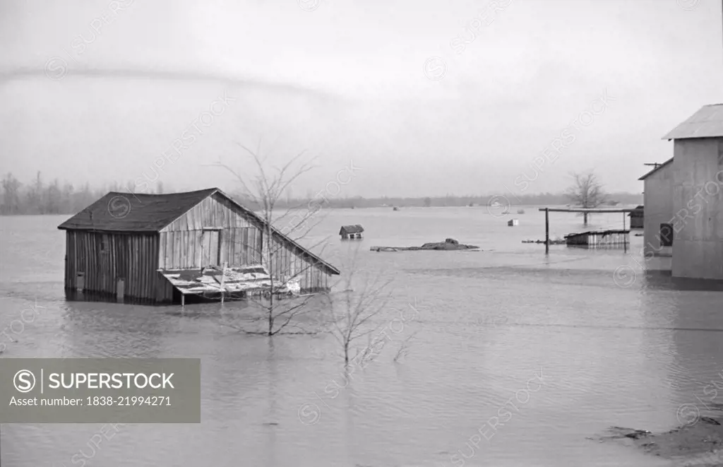 View of Flood from Train en route to Forrest City, Arkansas from Memphis, Tennessee, USA, Edwin Locke for U.S. Resettlement Administration, February 1937