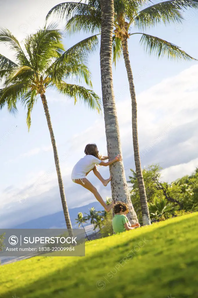 Climbing Trees