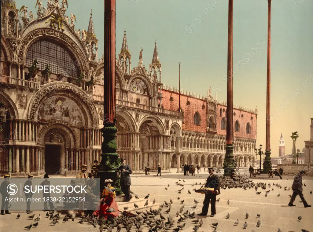 Pigeons in St. Mark's Place, Venice, Italy, Photochrome Print, Detroit Publishing Company, 1900