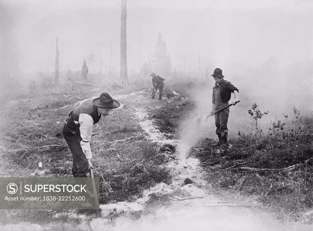 Fighting Forest Fire, South Dakota, USA, Bain News Service, 1910's