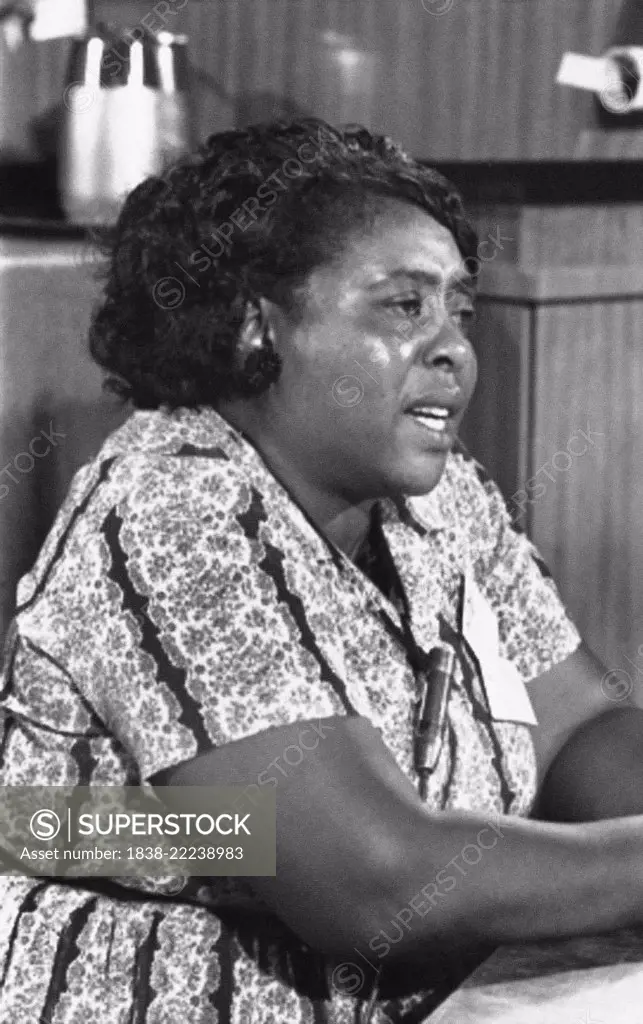 Fannie Lou Hamer, Mississippi Freedom Democratic Party Delegate, Democratic National Convention, Atlantic City, New Jersey, USA, Warren K. Leffler, August 22, 1964