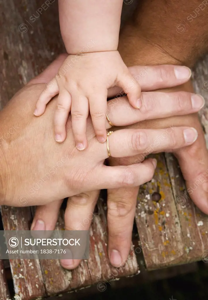 Family Hands, High Angle View