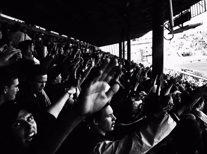 Crowd at Soccer Match