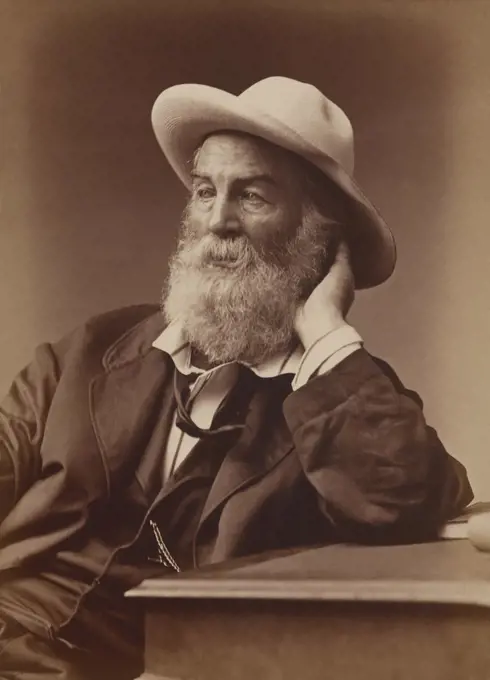 Walt Whitman (1819-1892), American Poet, half-length seated Portrait, G. Frank E. Pearsall, 1872