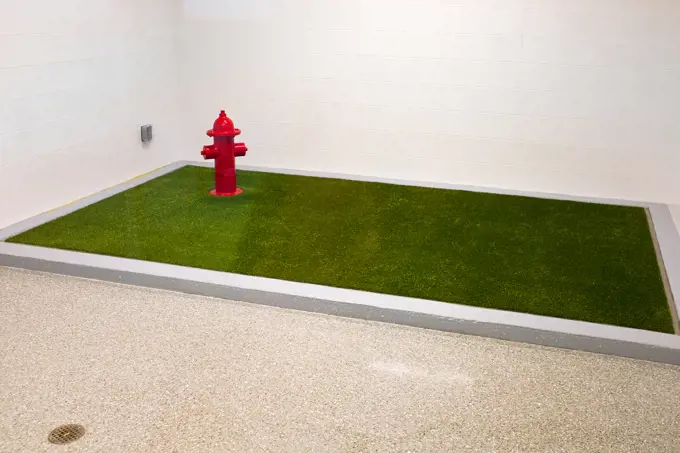Designated Public Pet Relief Area with Artificial Grass and Fire Hydrant, Logan International Airport, Boston, Massachusetts, USA