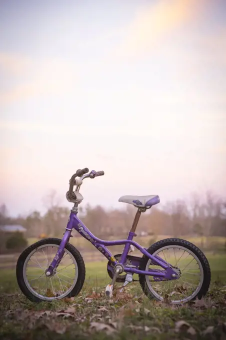 Child's Purple Bicycle on Grass