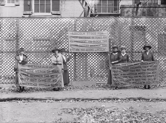 Group of Suffragettes with Picket Signs and Banners, Washington DC, USA, Harris & Ewing, 1917