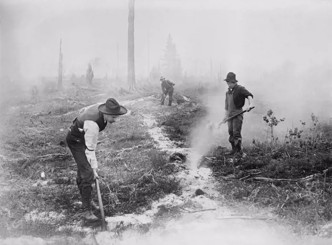 Fighting Forest Fire, South Dakota, USA, Bain News Service, 1910's