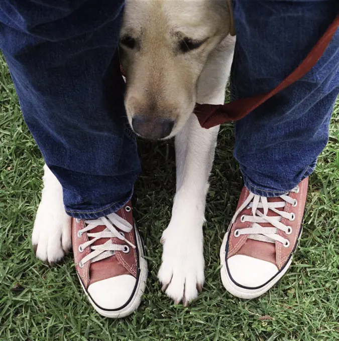 Feet & Dog