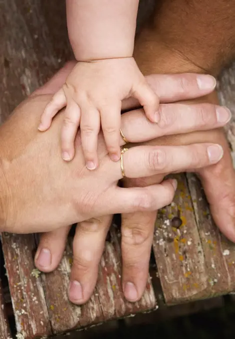 Family Hands, High Angle View