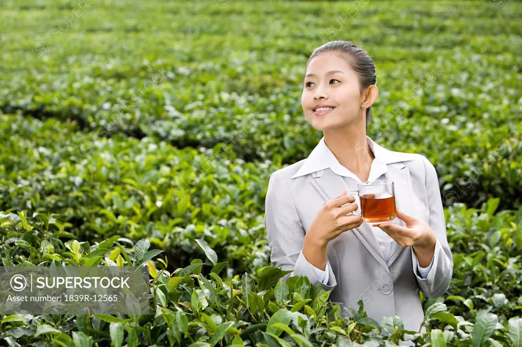 Young Businesswoman in Tea Field with Freshly Brewed Tea