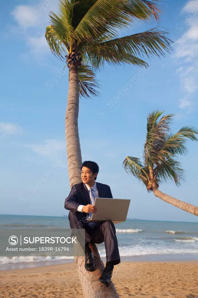 Businessman working at the beach