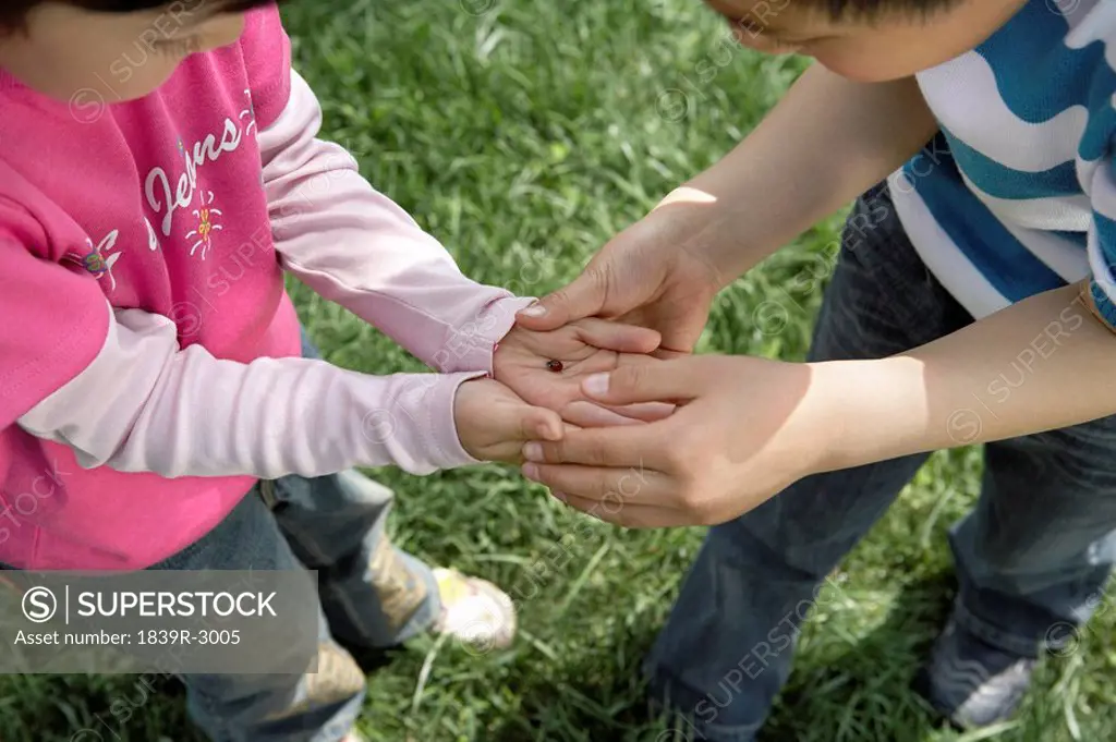 Children Playing Together In The Park