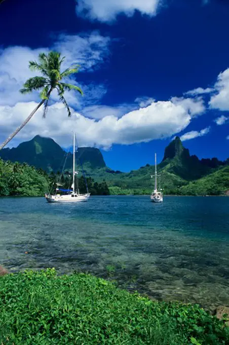 Private yachts anchored in Opunohu Bay on the island of Moorea in the Society islands of French Polynesia.