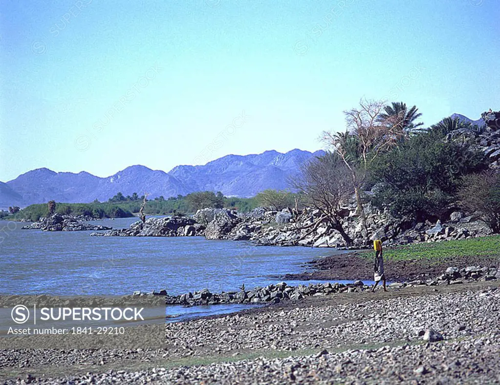 Woman carrying bucket on her head on a lakeside, Wadi Halfa, Lake Nubia, Sudan