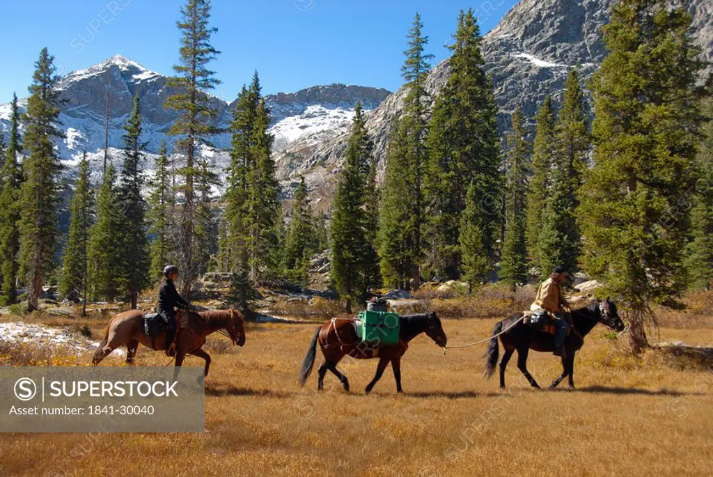 Two people riding horses in field, Weminuche Wilderness, Colorado, USA