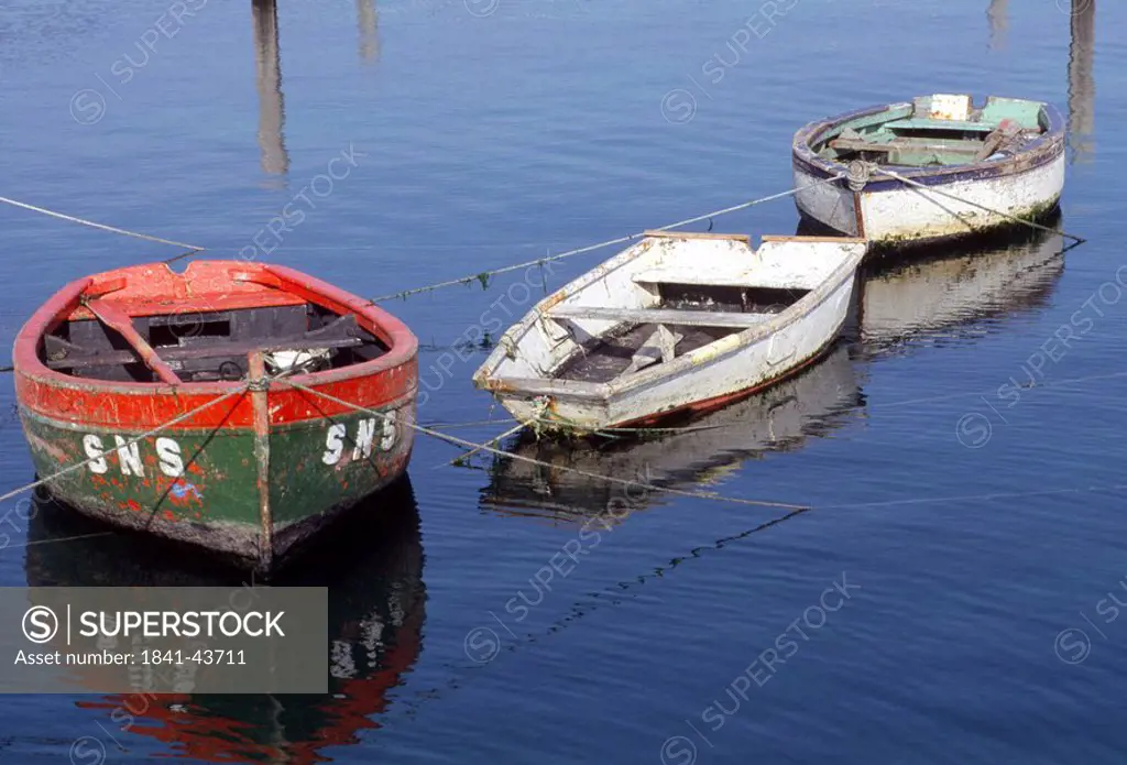 Boats in harbor, France