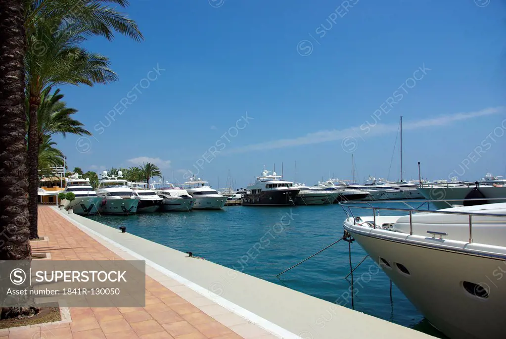 Marina in Portals Nous, Majorca, Spain