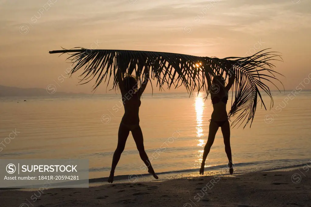 Botanik,Pflanze,Pflanzenblatt, Pflanzenblätter, Blatt,Palmenblatt,Im Freien,In der Luft schwebend,Ko Phangan,Romantik,Sonnenuntergang,Abenddämmerung,Gewässer,zwei Personen,Südostasien,halten,berühren,Idylle,junge Frau, junge Frauen,Mädchen,Kind,Frau,Erwachsener,weiblich - Mensch,11-12 Jahre, 11 bis 12 Jahre,10-13 Jahre, 10 bis 13 Jahre,20-25 Jahre, 20 bis 25 Jahre,20-30 Jahre, 20 bis 30 Jahre, Twen,junger Erwachsener, junge Erwachsene,Kindheit,Europäerin,Mensch,Natur,Außenaufnahme,Farbaufnahme, 