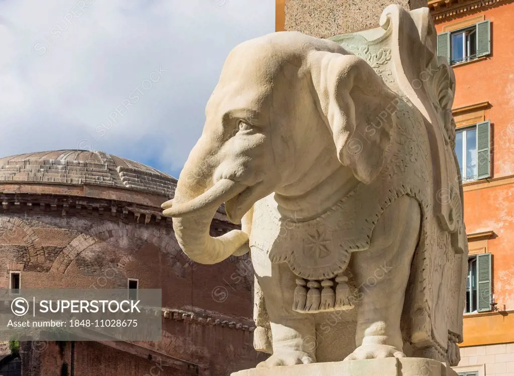 Bernini's Elephant, Pulcino della Minerva, elephant statue at the base of the obelisk Obelisco della Minerva, by Ercole Ferrata to a design by Gian Lo...