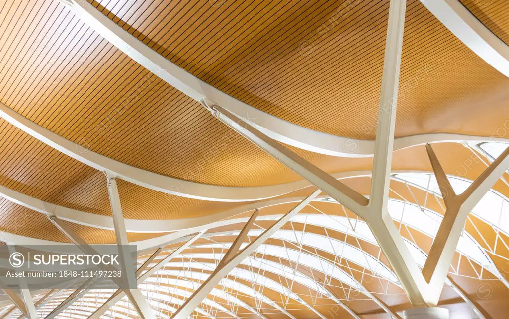 Curved ceiling, interior design, Shanghai Pudong International Airport, China, Asia