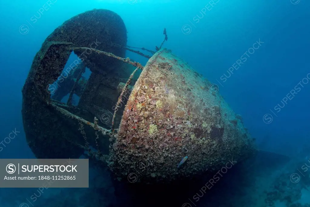 Stern with gun deck, shipwreck of the SS Thistlegorm, Red Sea, Shaab Ali, Sinai Peninsula, Egypt