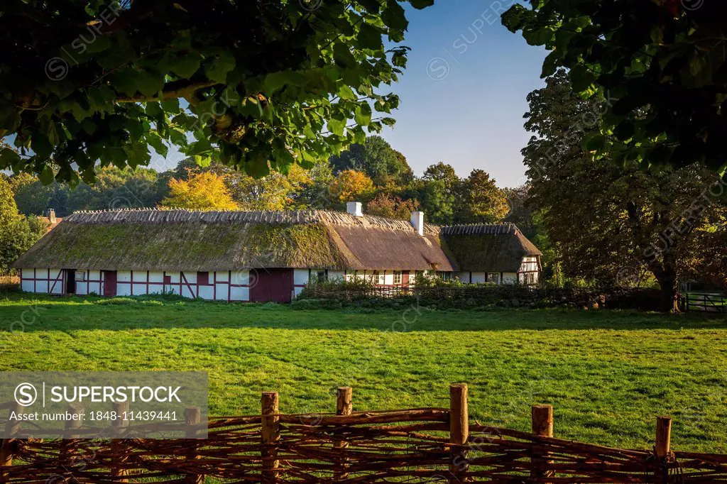 A typical Danish farmhouse and stable from the 18th century, Open Air Museum, Frilandsmuseet, Lyngby, Denmark